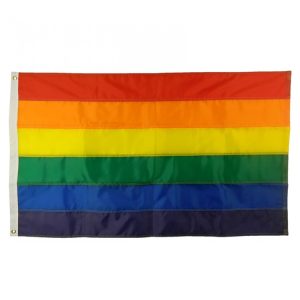 Rainbow / NHS Flag 1