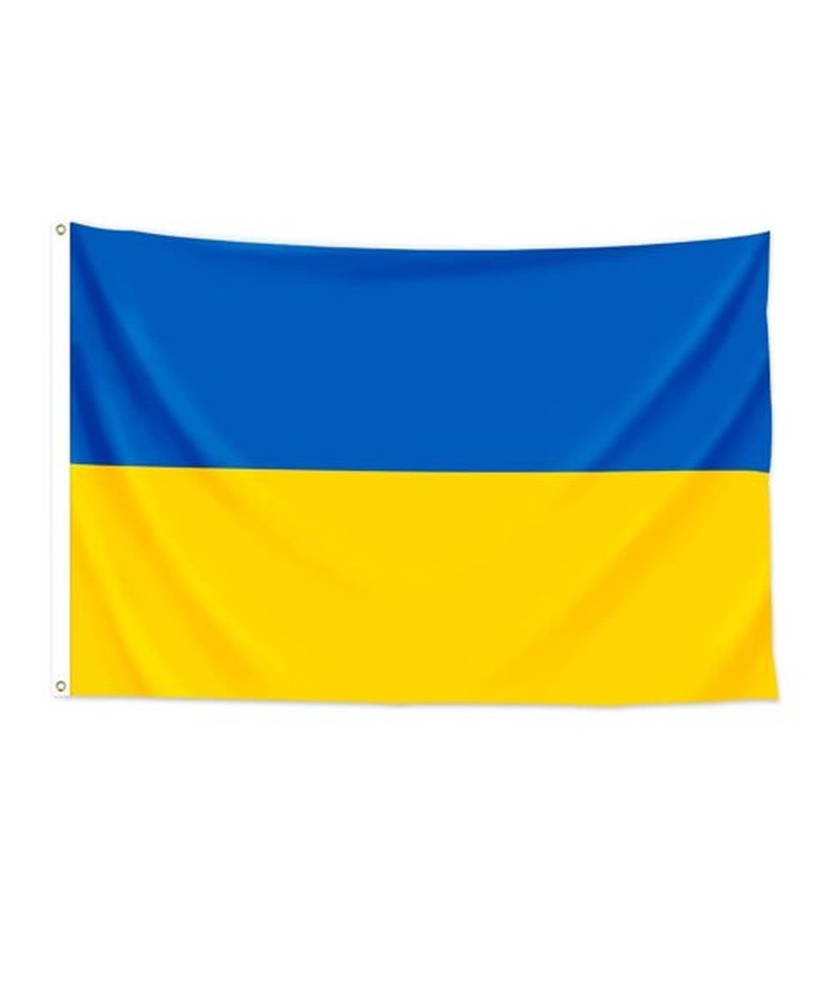 Ukraine Flag 1