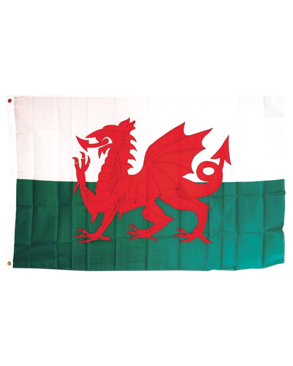 Welsh Flag 1